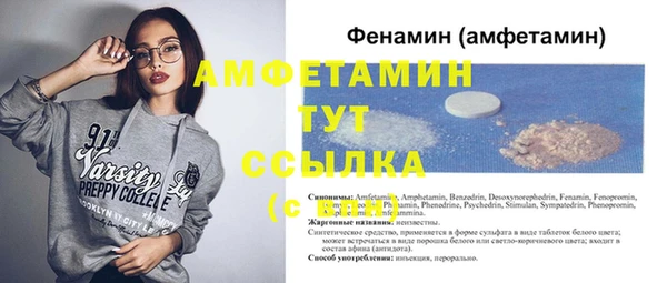 ешки Аркадак