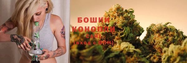 ешки Аркадак