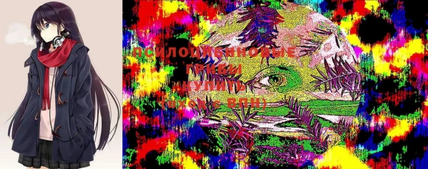 ALPHA-PVP Армянск