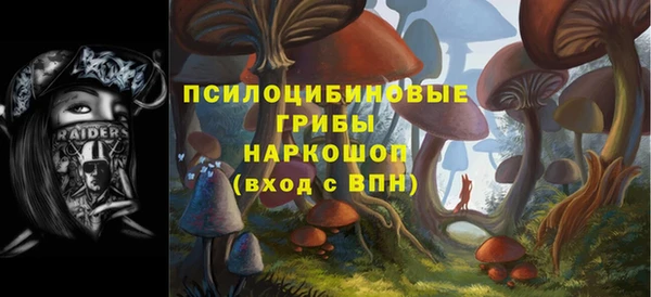 ешки Аркадак